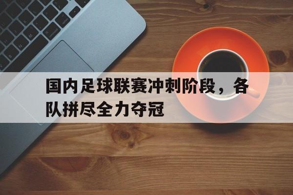 国内足球联赛冲刺阶段,各队拼尽全力夺冠