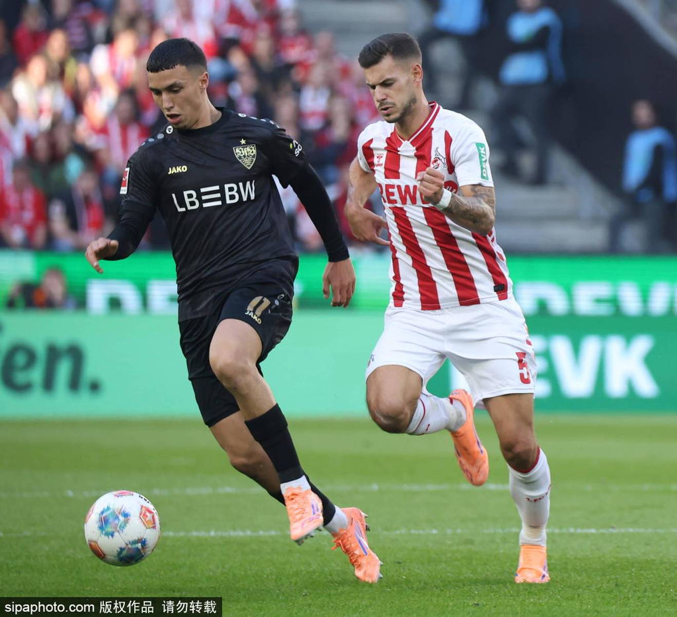 斯图加特足球俱乐部阵容