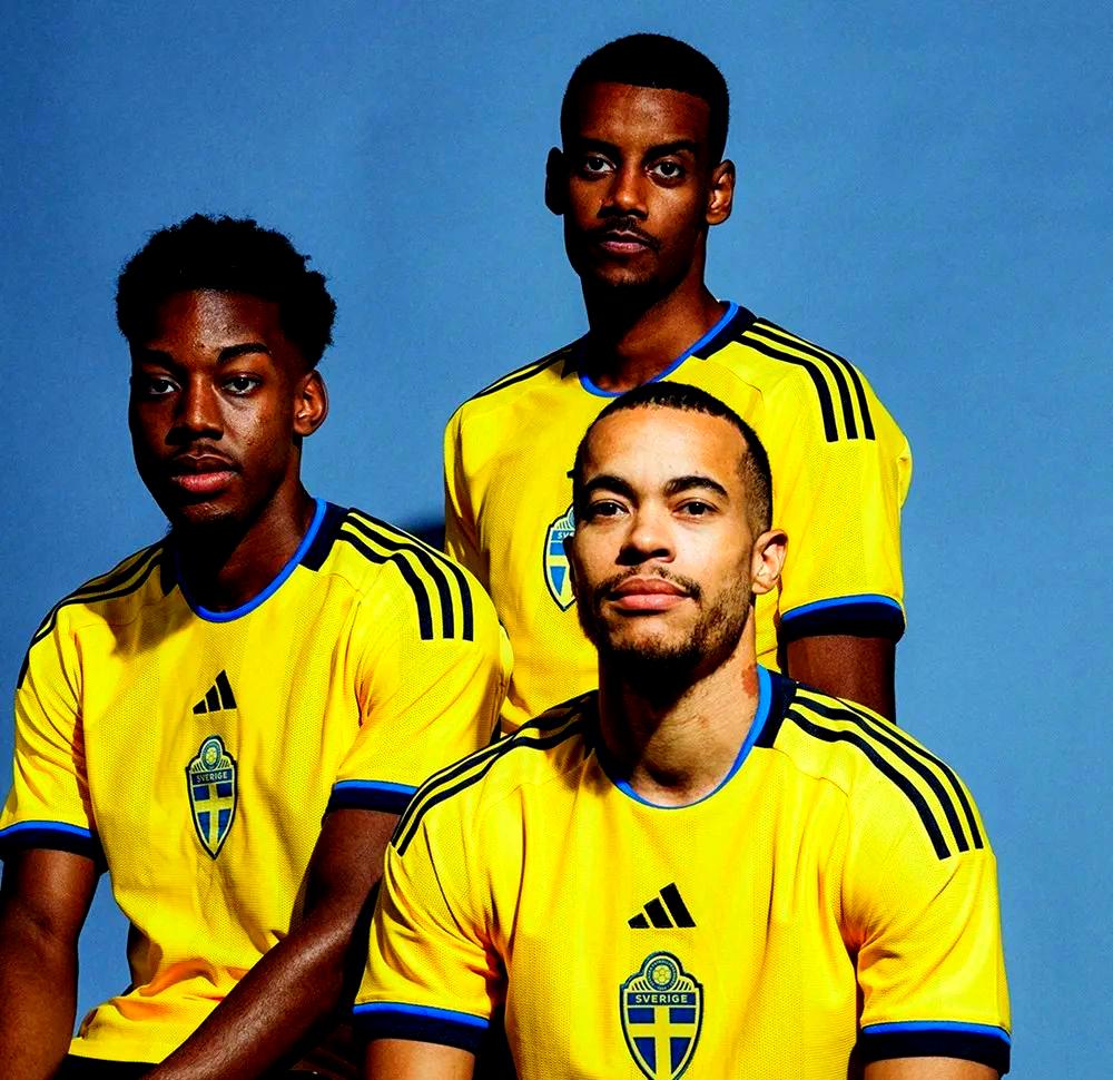 瑞典队欧洲杯成绩