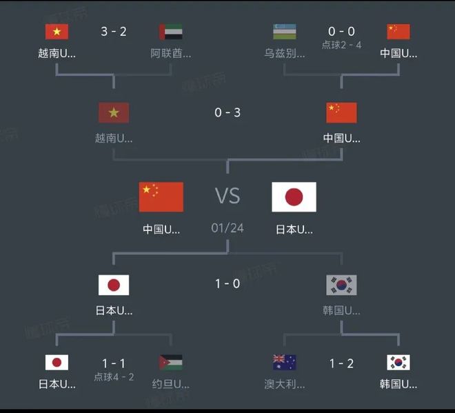 越南队成绩