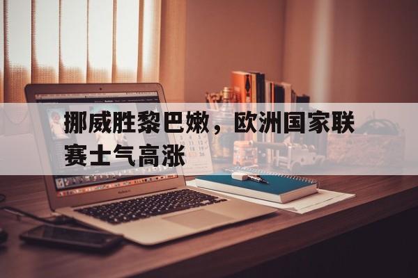 挪威联赛结果