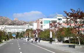 博彩-青岛黄海阵容2021